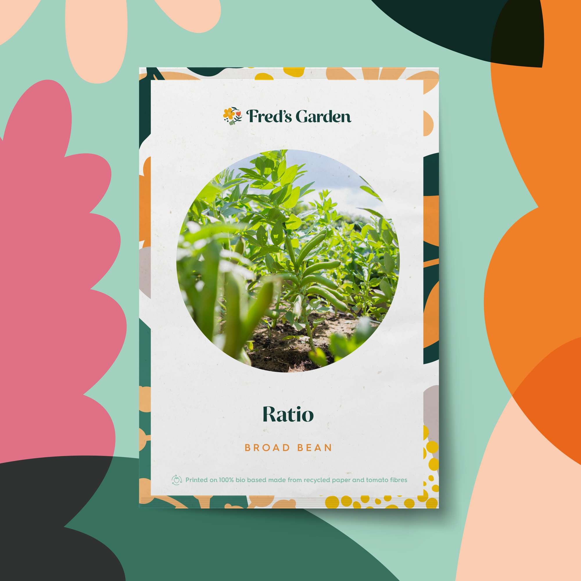 Bondböna 'Ratio' (frö)